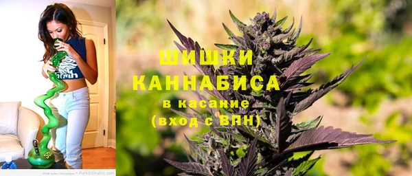 амф Бородино