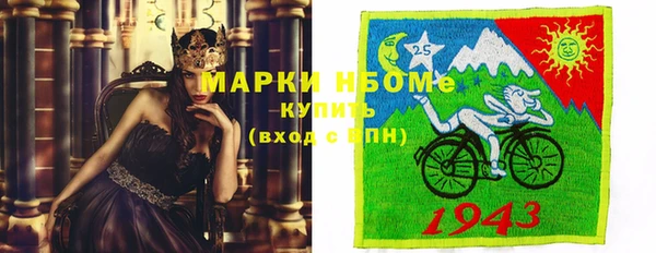 амф Бородино