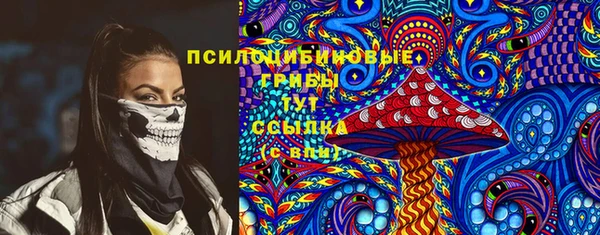 первитин Богданович